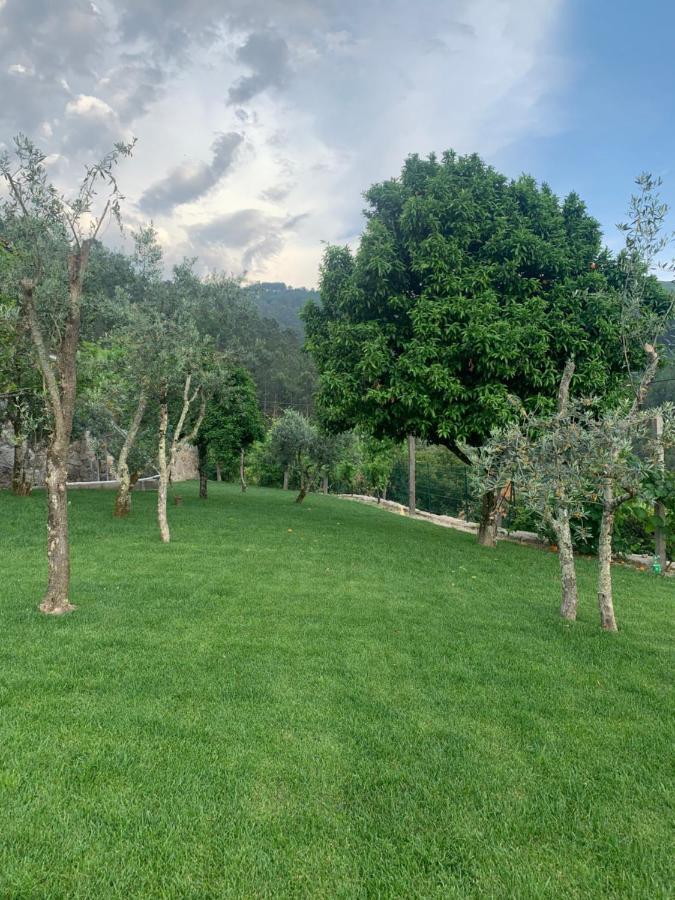 Hébergement de vacances Casa Aurora Amarante